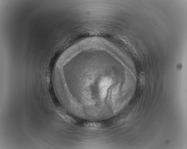 X0000097660691200803211920