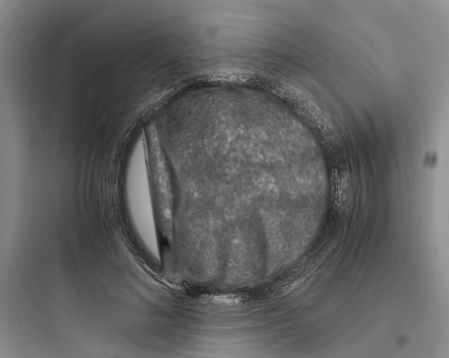 X0000097660692200803211920
