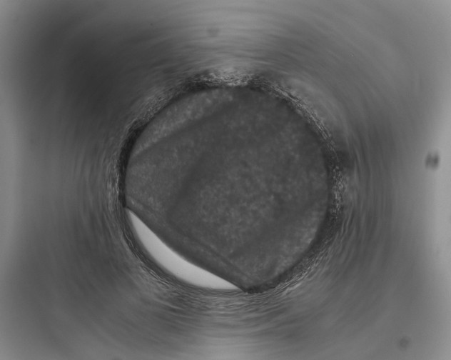 X0000097660693200803211920