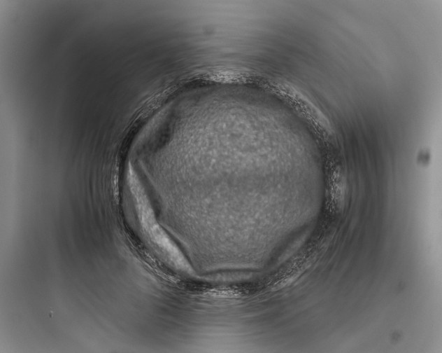 X0000097660696200803211920