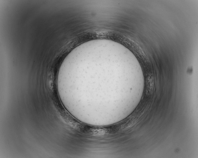 X0000097660698200803211920