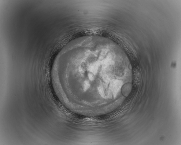 X0000097660699200803211920