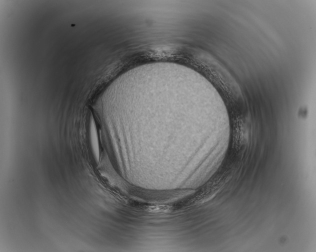 X0000097660700200803211920