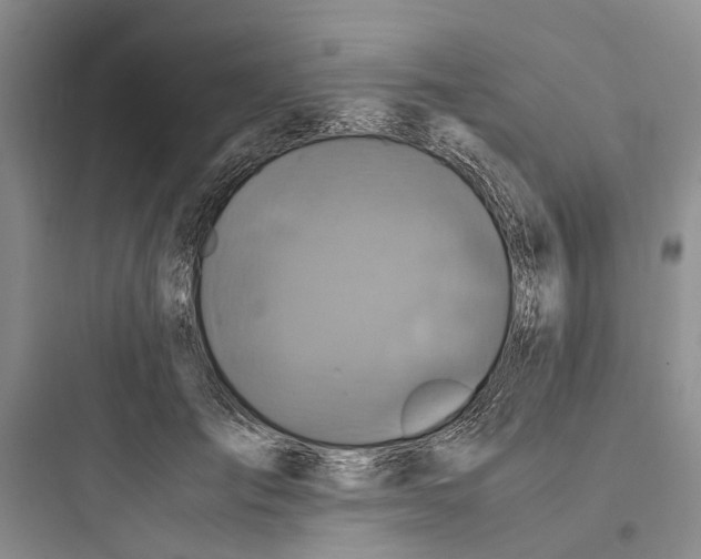 X0000097660701200803211920