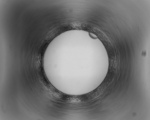 X0000097660702200803211920
