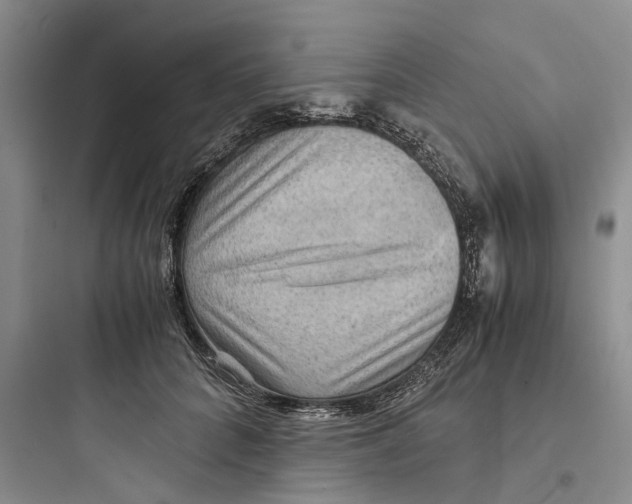 X0000097660704200803211920