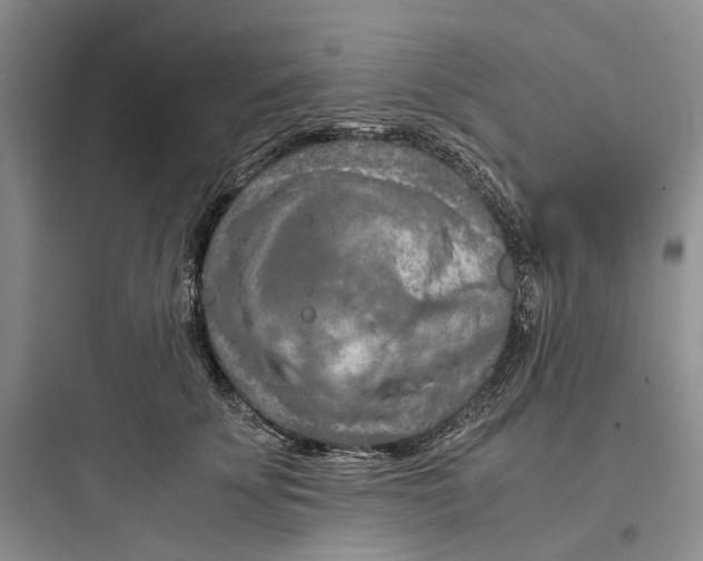 X0000097660707200803211920