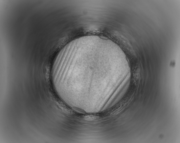 X0000097660708200803211920