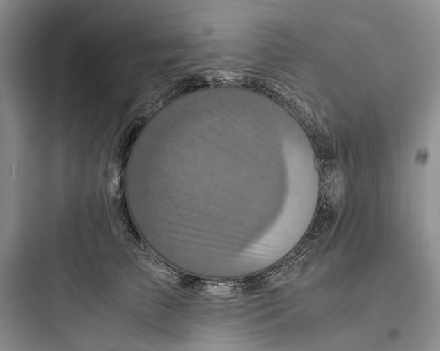 X0000097660709200803211920