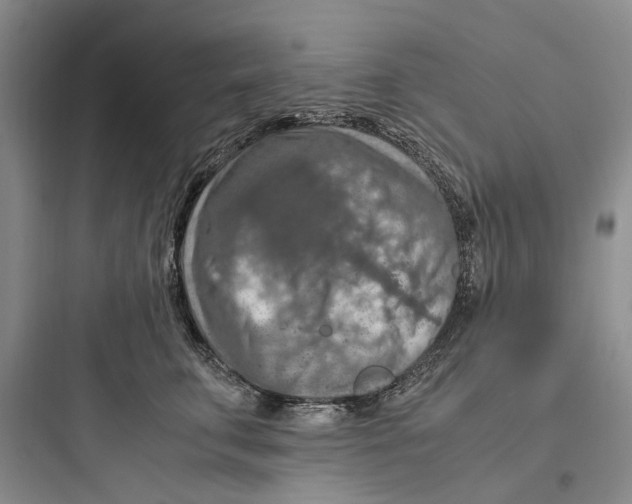 X0000097660711200803211920