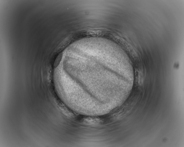 X0000097660712200803211919