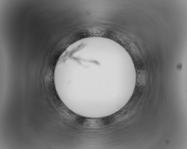 X0000097660713200803211919