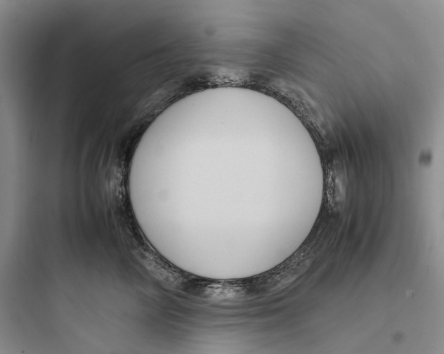 X0000097660714200803211919