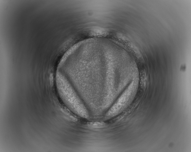 X0000097660716200803211919