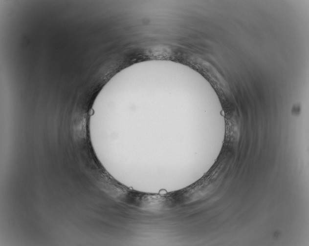 X0000097660717200803211919