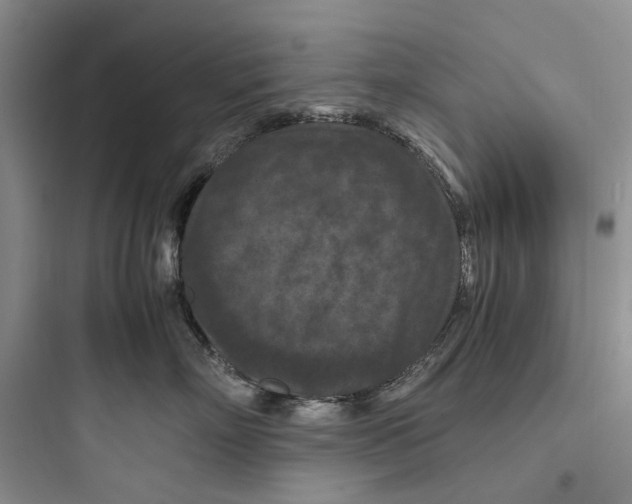 X0000097660718200803211919