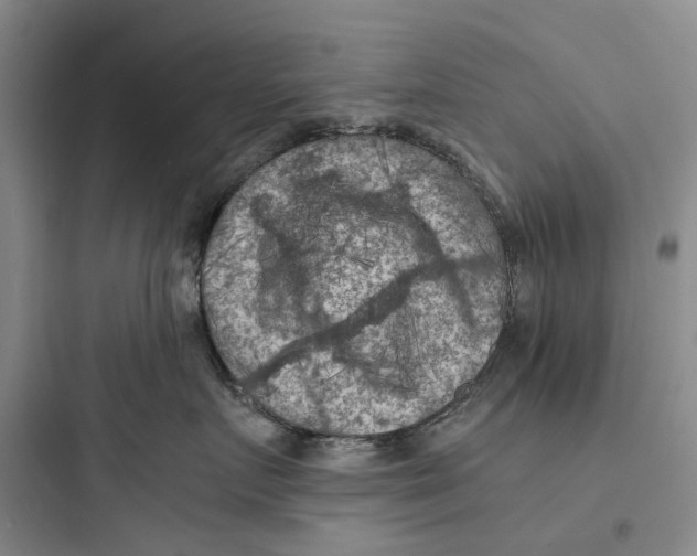 X0000097660719200803211919