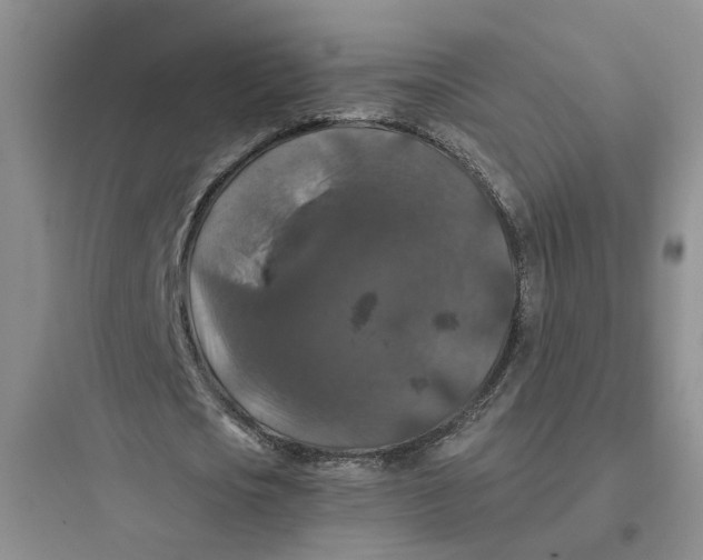 X0000097660721200803211919