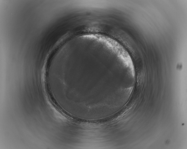 X0000097660722200803211919