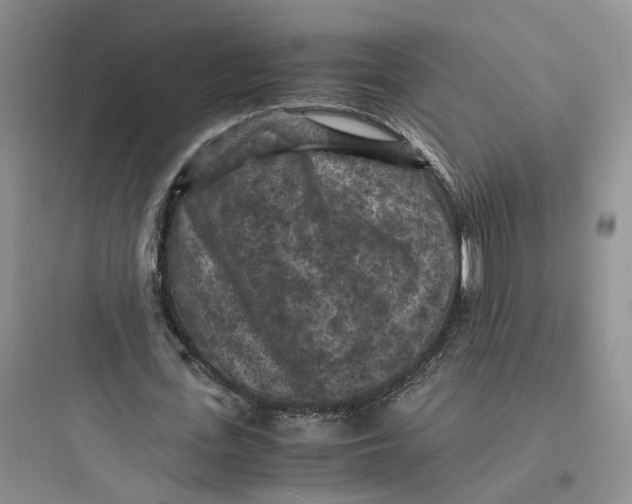 X0000097660723200803211919