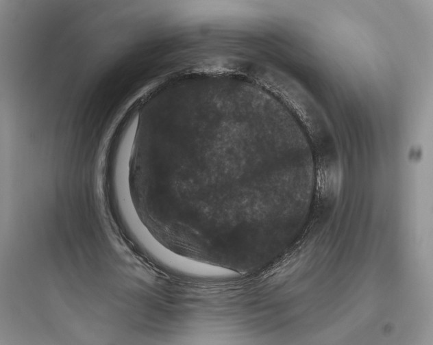 X0000097660724200803211919