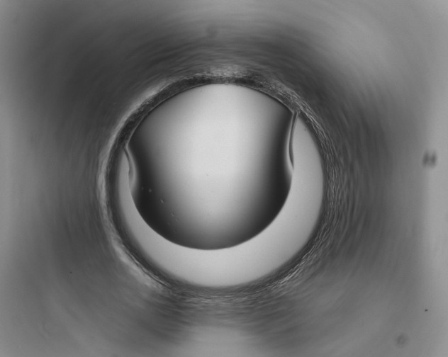 X0000097660726200803211919