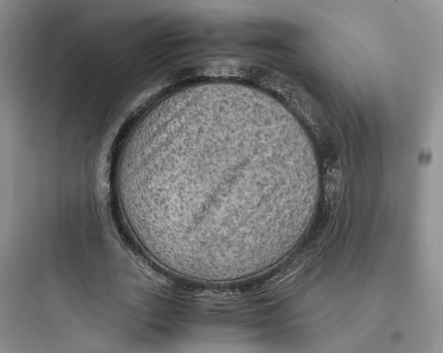 X0000097660727200803211919