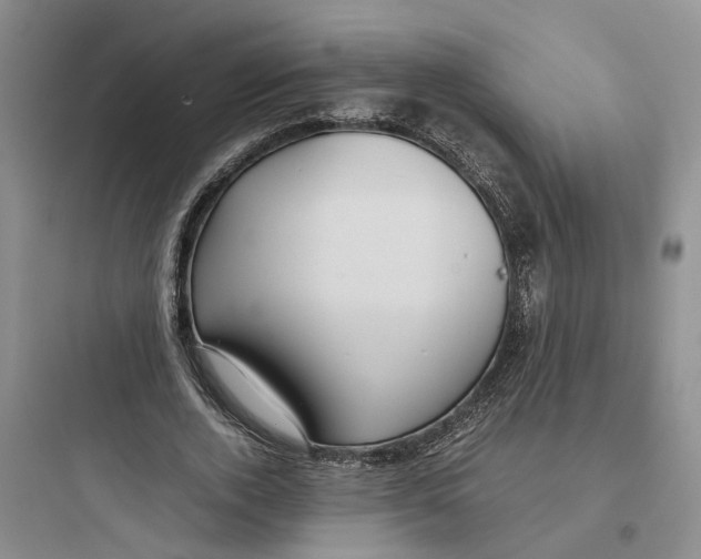 X0000097660728200803211919