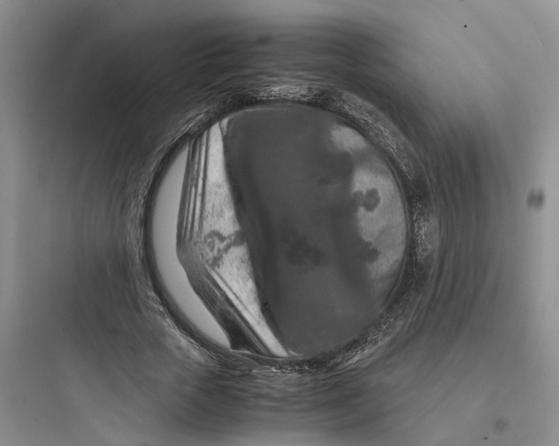 X0000097660729200803211919