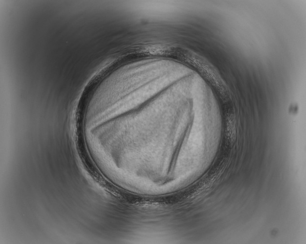 X0000097660730200803211919