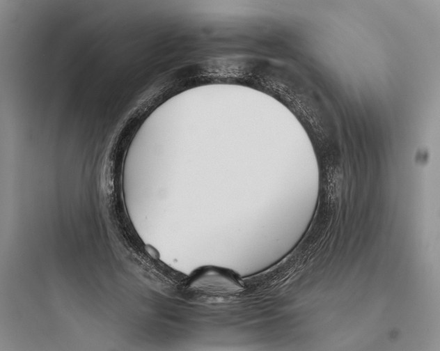 X0000097660731200803211919