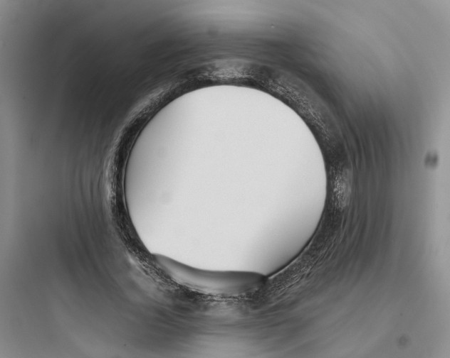 X0000097660732200803211919