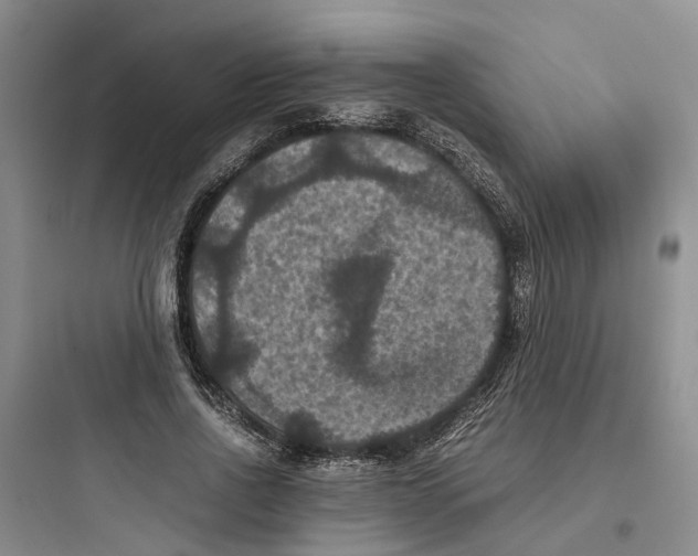 X0000097660734200803211919