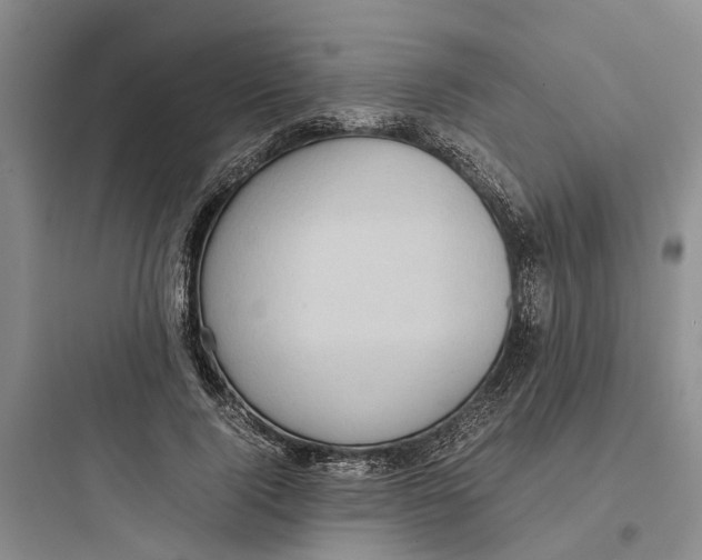 X0000097660740200803211919