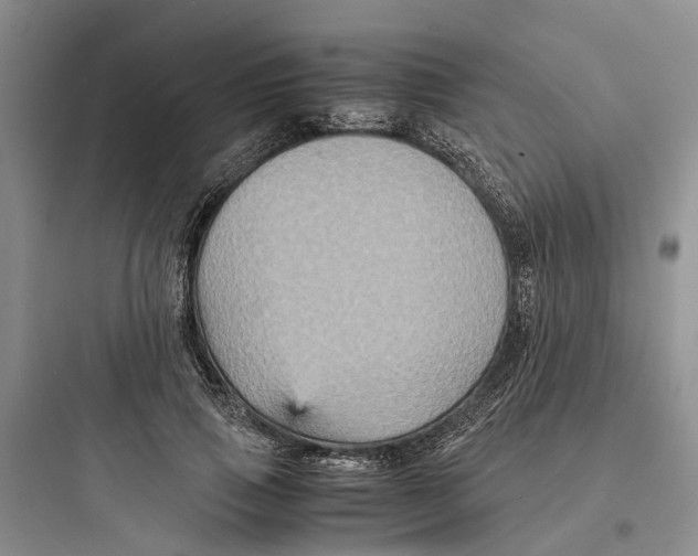 X0000097660741200803211919