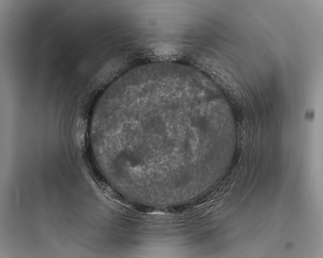 X0000097660742200803211919