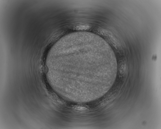 X0000097660743200803211919