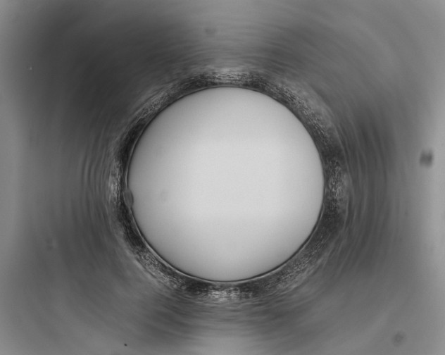 X0000097660744200803211919