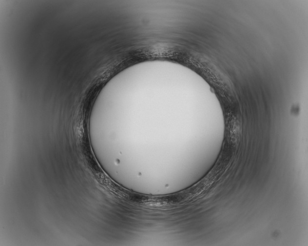 X0000097660746200803211919