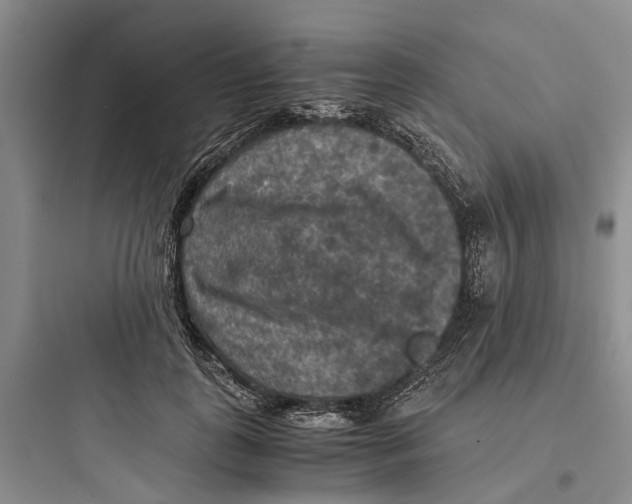 X0000097660747200803211919