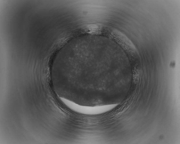 X0000097660748200803211919