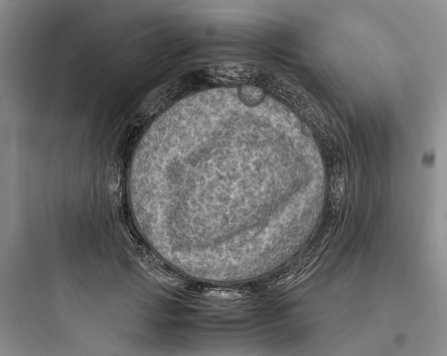 X0000097660749200803211919
