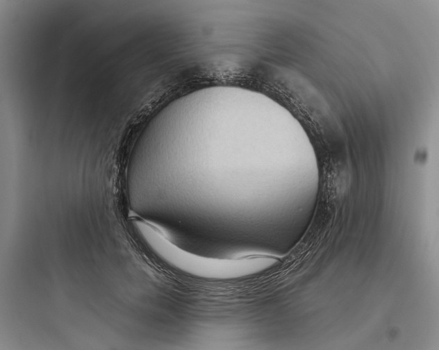 X0000097660750200803211919