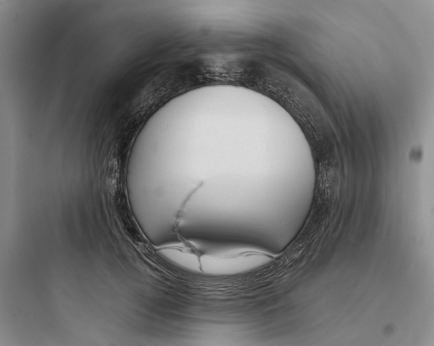 X0000097660752200803211919