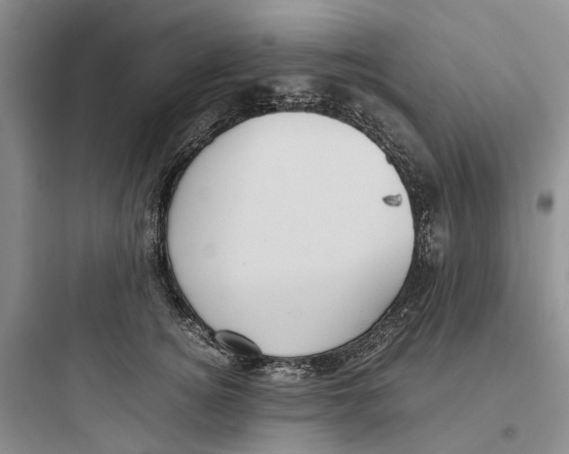 X0000097660756200803211919