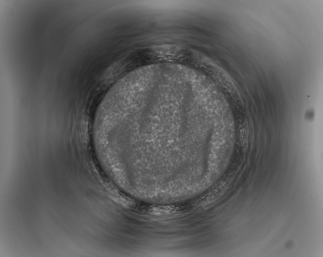 X0000097660757200803211919