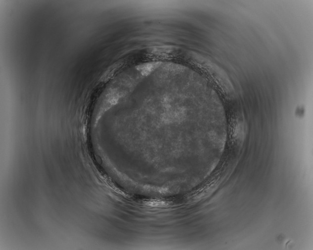 X0000097660759200803211919