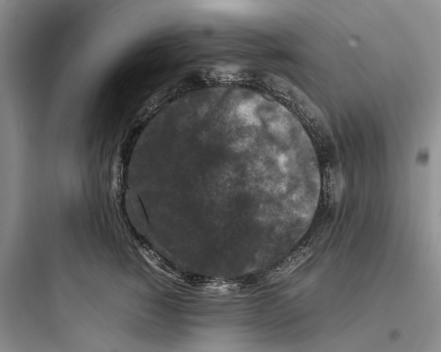 X0000097660760200803211919
