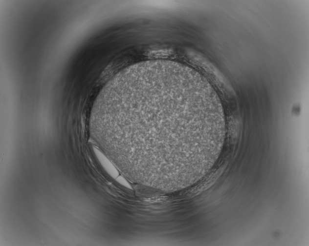 X0000097660761200803211919