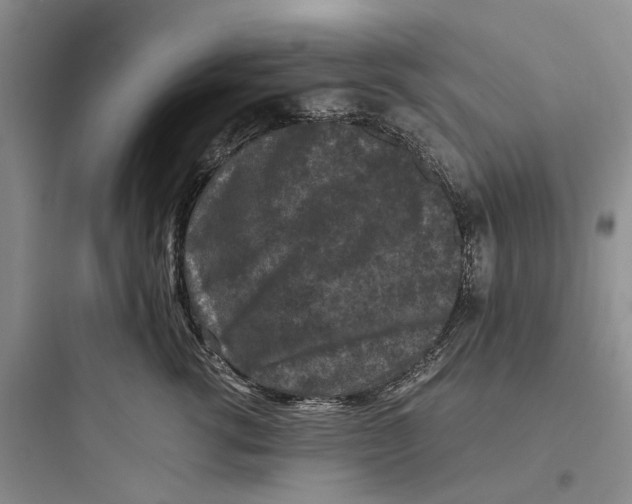X0000097660762200803211919